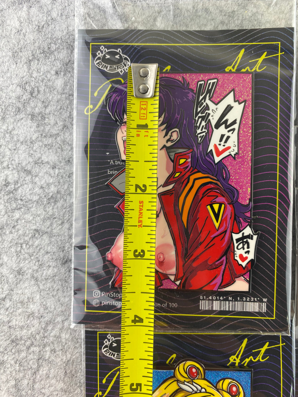 Large Lewd Panel Pins