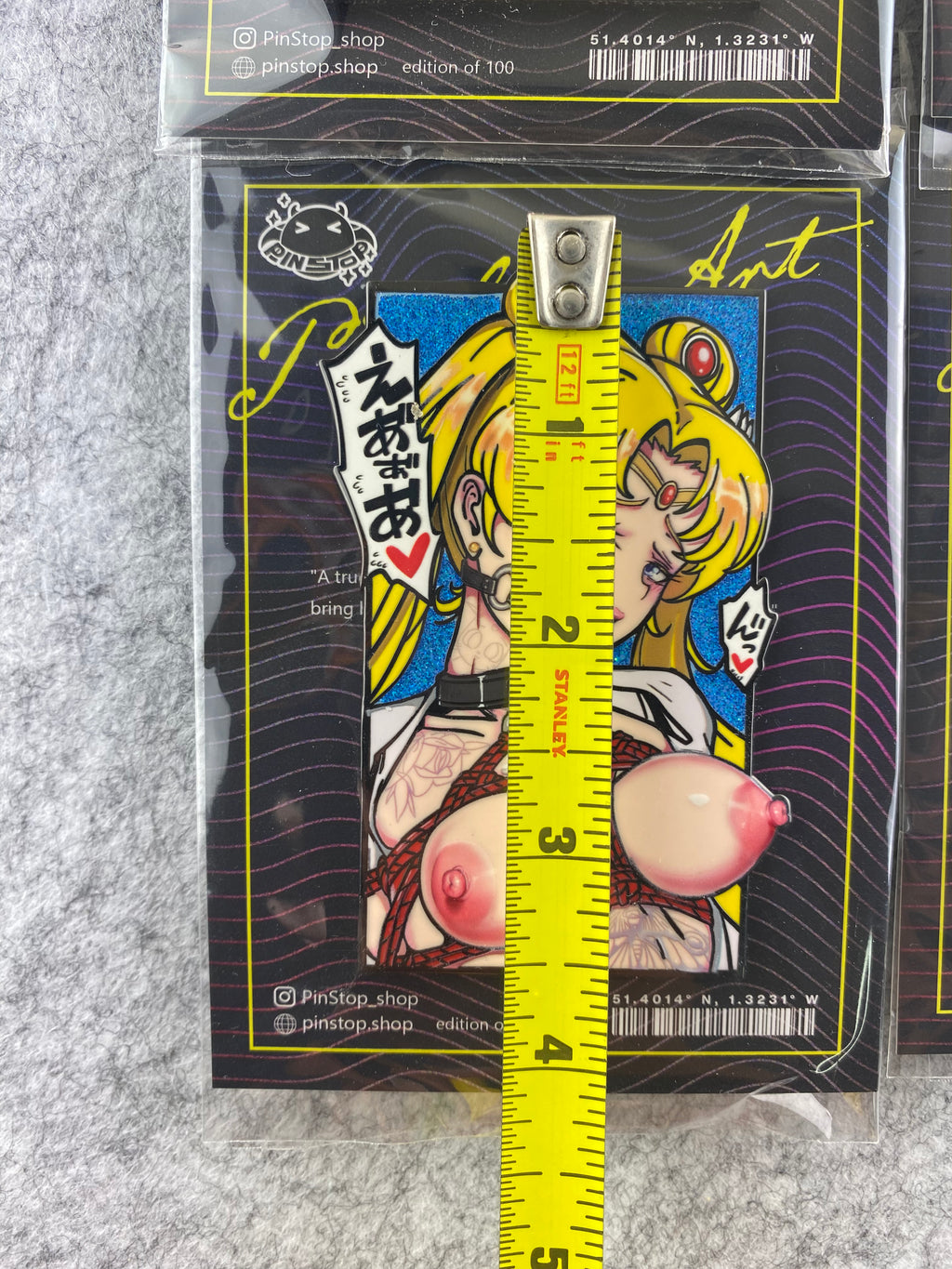 Large Lewd Panel Pins