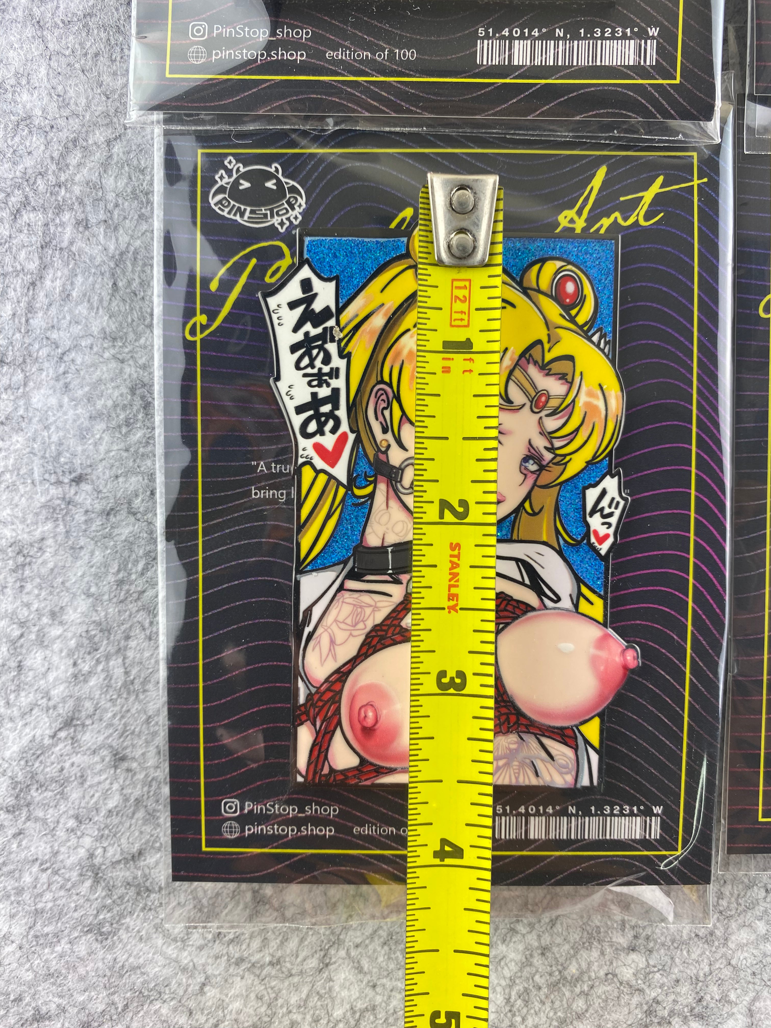 Large Lewd Panel Pins
